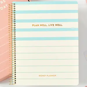 PPP  Planner | 10  Budget Envelopes | Budget Planner | Annual & Monthly Financial Worksheet, Expense, Saving & Debt Reduction Pages | Stickers | Long-Term Financial Goals | Spend