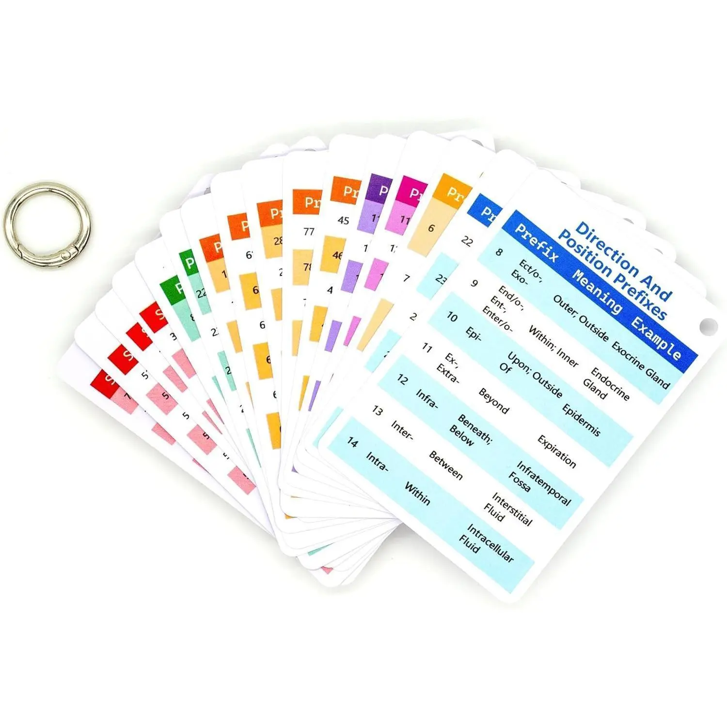 Medical Terminology Flash Cards 2026 – Essential Accessories for Paramedic & Pharmacology Flash Cards | Learn 187 Prefixes & 81 Suffixes with Ease | Nursing School Bundle & LPN Must-Haves