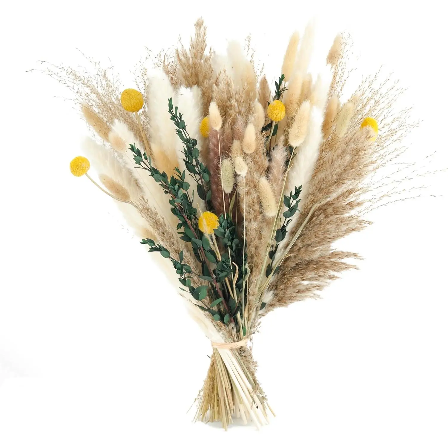 Dried Pampas Grass Bouquet (103-) for Boho Wedding &  Decor -  Centerpiece with Eucalyptus, White/Brown, 14-17 Inches