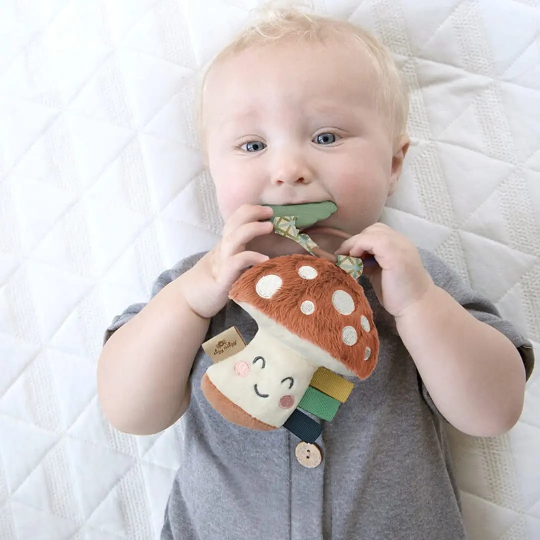 Baby Teething Toy with Lovey, Crinkle Sound, Textured Ribbons & Silicone Teether for Newborn - Mushroom(Gift)