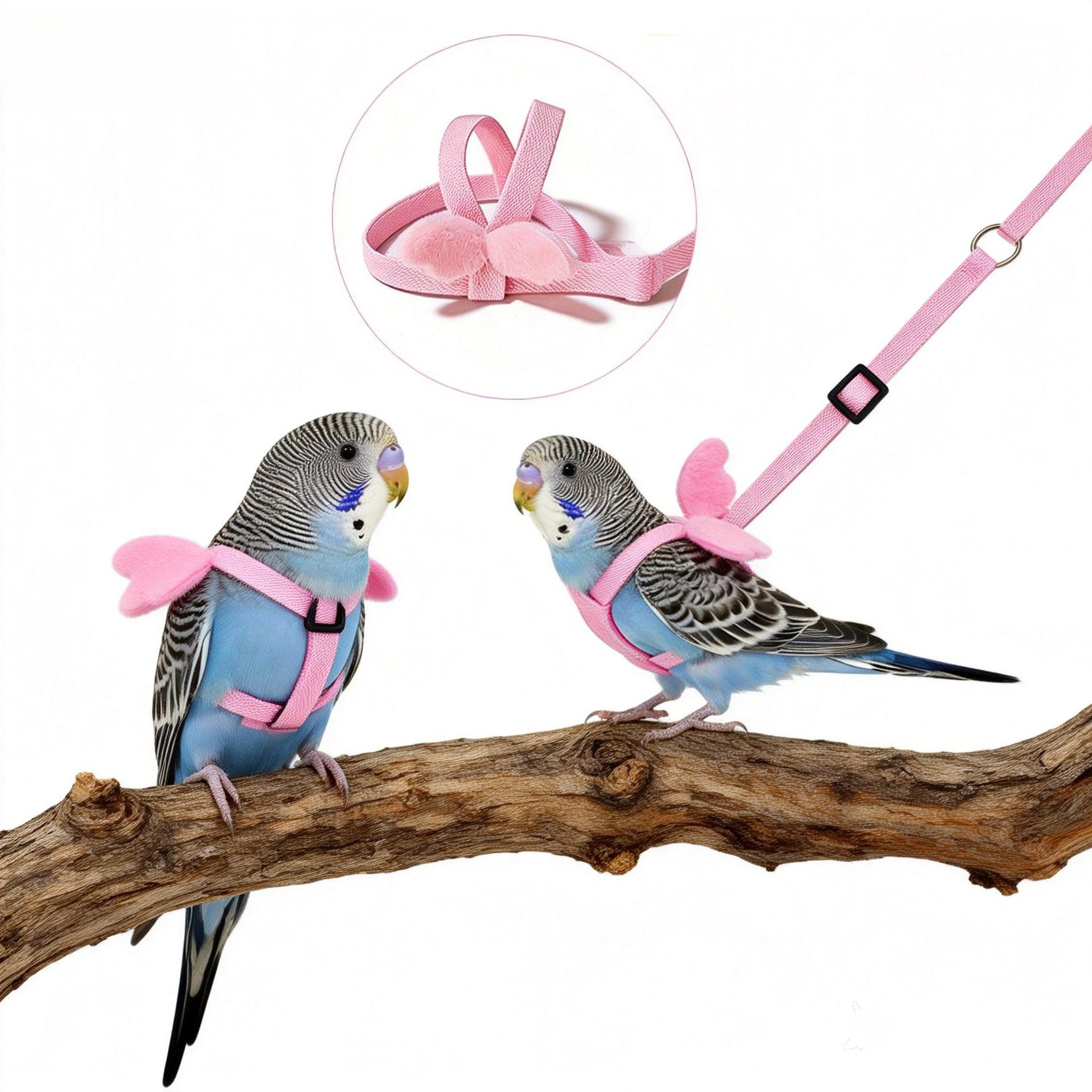 Parrot Flight Training Leash, Back Strap Wing Harness with Elastic Bungee Rope, Outdoor Walking Lead for Small Parrots, Escape-Proof Bird Leash for Budgie Cockatiel Lovebird Squirrel-proof Metal Feeding Station Cage Stand