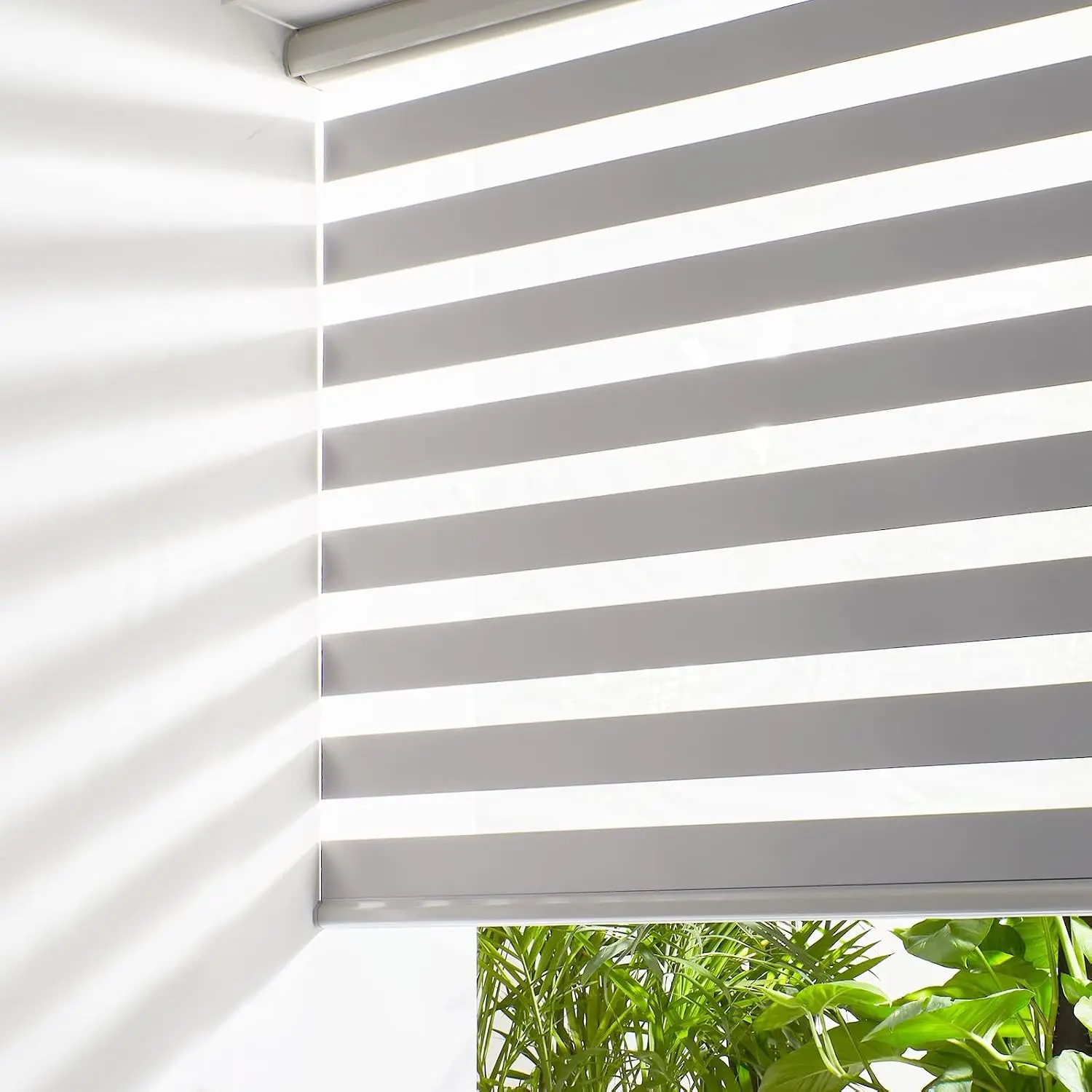 Cordless Zebra Blinds for Windows Free-Stop Roller Shades (33" W X 64" H, Grey) Dual Layer Light Cintrol for Day and Night, Light Filtering Sheer Shades for Home, Easy to Install