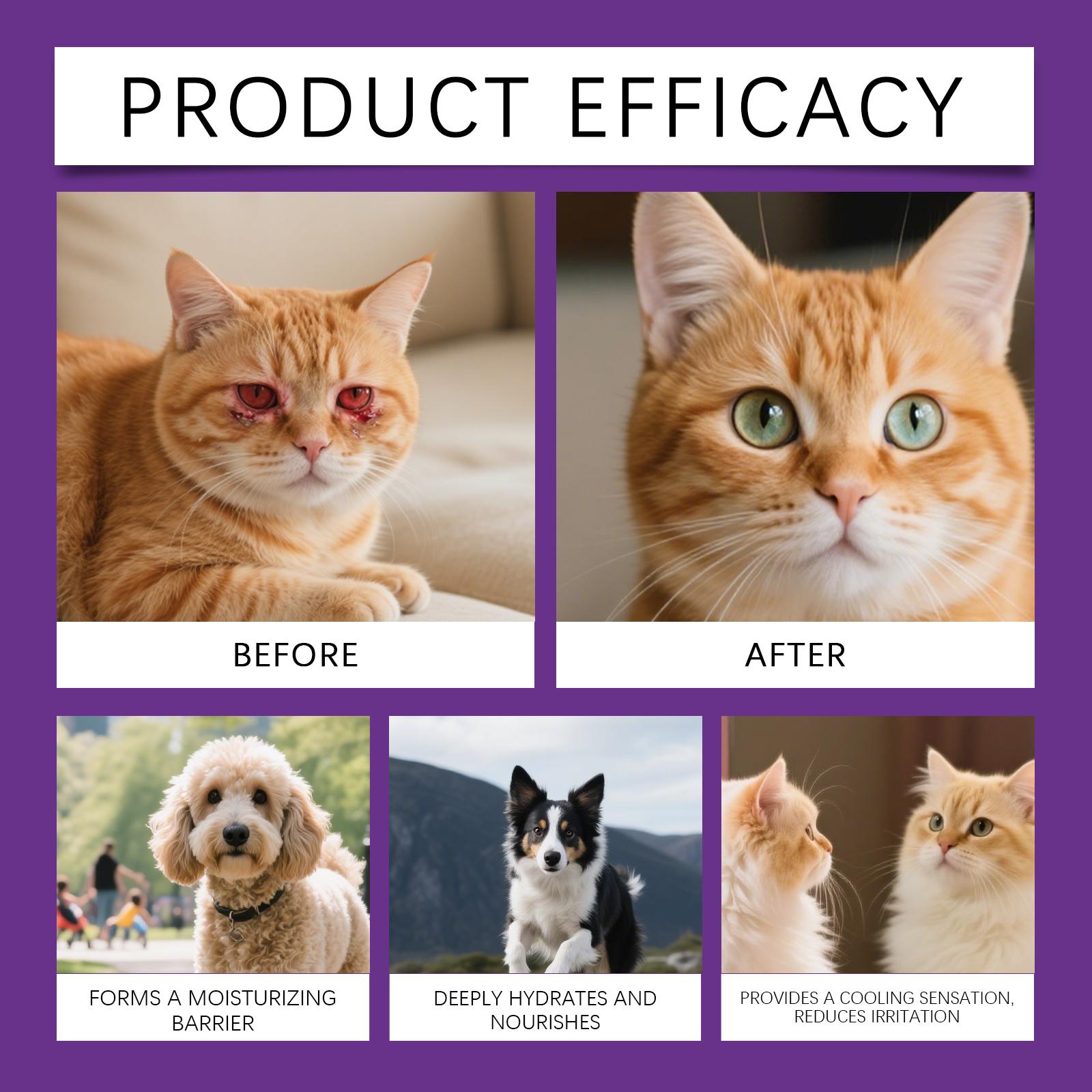 EelJoy Pet Eye Tear Stain Remover, Gentle Tear Stain Remover for Cats and Dogs, No-Rinse, Portable, Daily Care