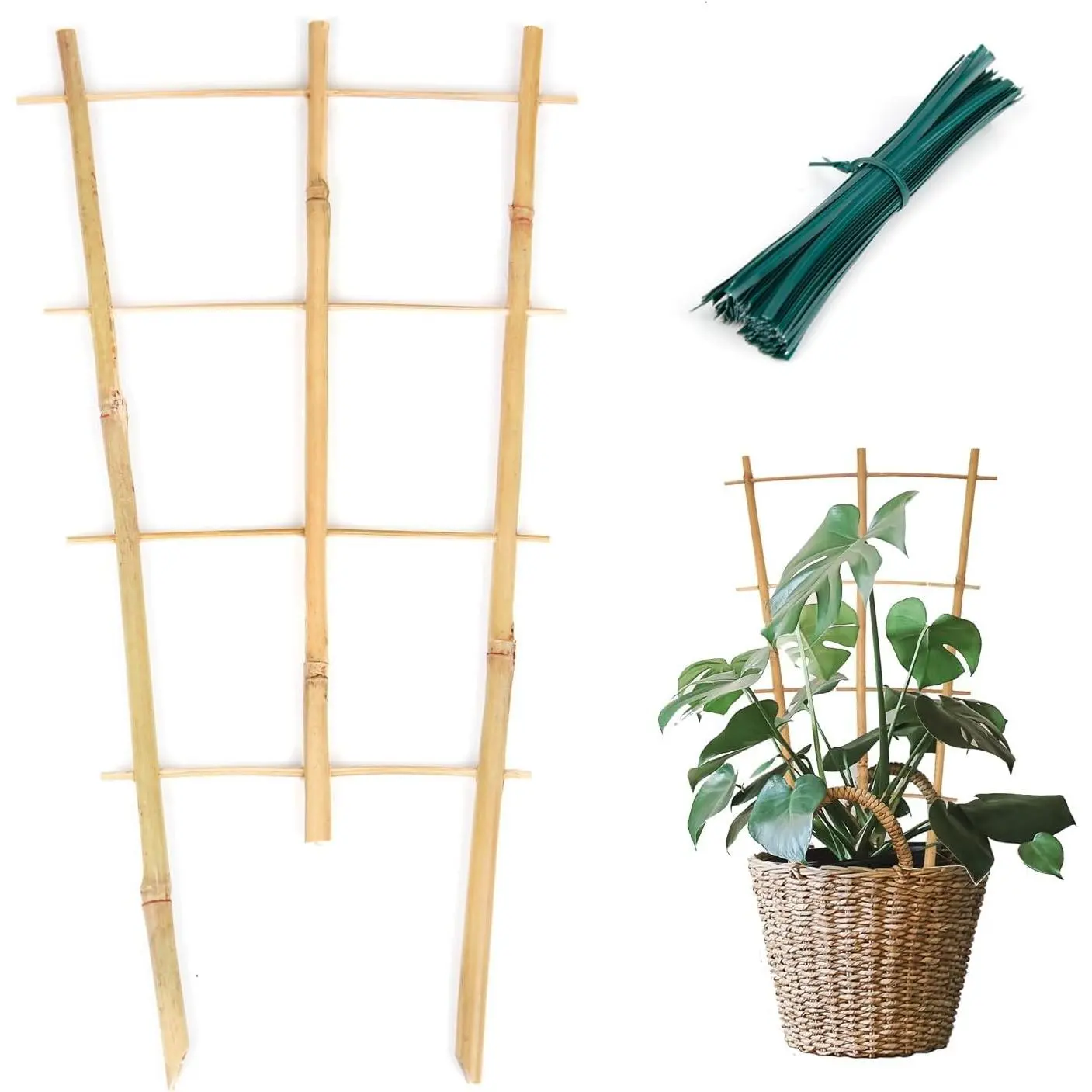 Plant Trellis Indoor 6 Pack Bamboo Trellis with Twist Ties, 16in Fan-Shaped Plant Trellises for Potted Plants Hoya Vines Monstera Houseplants