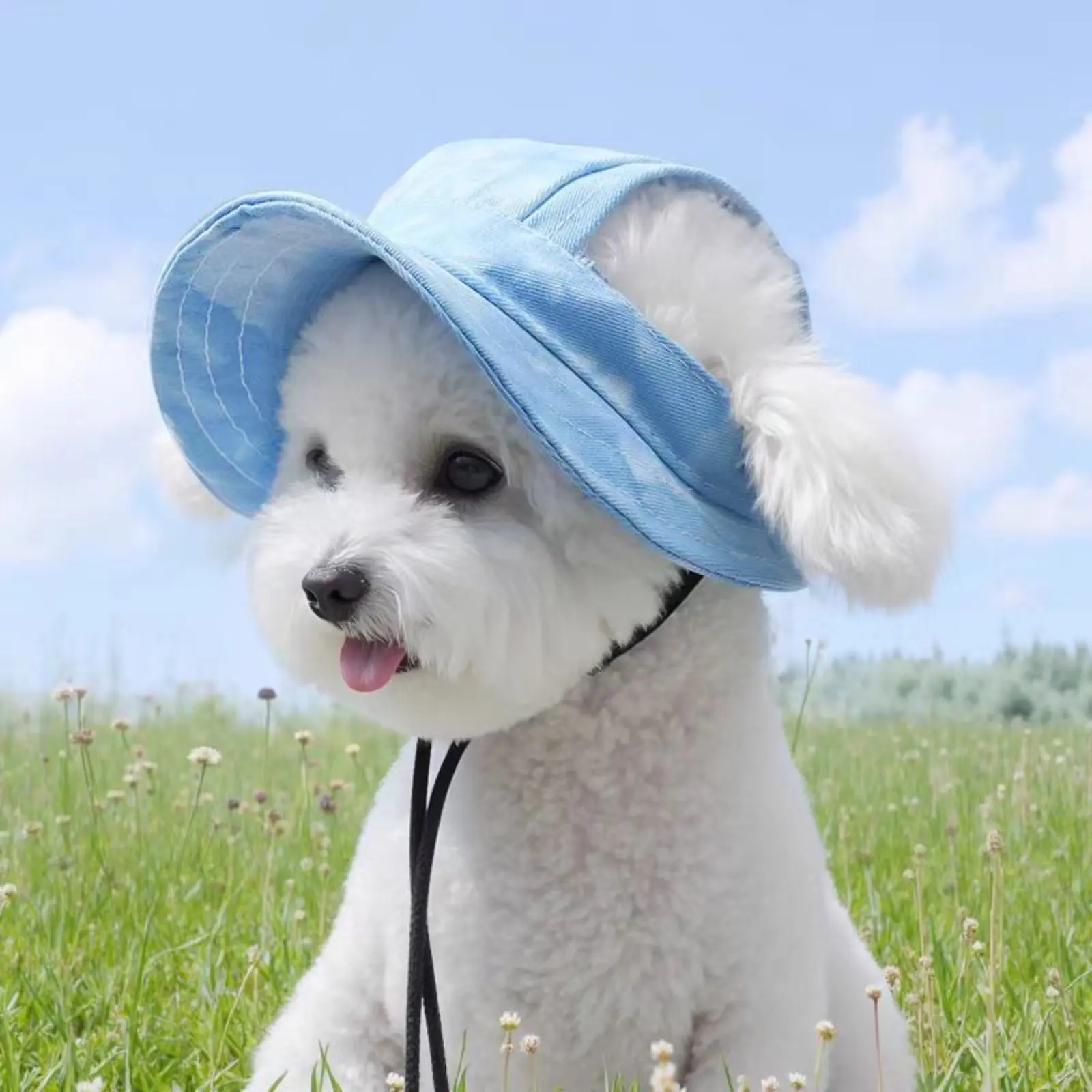 Adjustable sun hat for cats and dogs, comfortable no-choke design with sun protection. Ideal summer pet accessory for outdoor walks and daily outings.