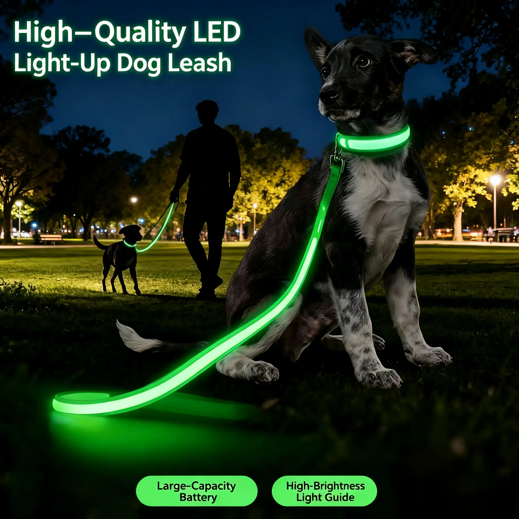 LED Light-Up Anti-Lost Dog Leash - USB-C Rechargeable, Nylon, Non-Slip, Detachable Safe Nighttime Collars & Leads with 3 Flashing Modes, High Visibility