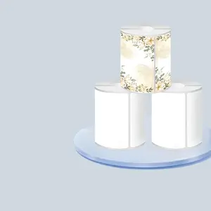 3 Rolls Thermal Printing Paper for NELKO PM220/PM110 and Phomemo M110/M220, Waterproof and Oil-Resistant Labels, 230 Labels per Roll, 40*30mm