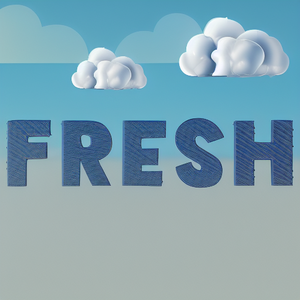 Fresh Vibe Enterprise