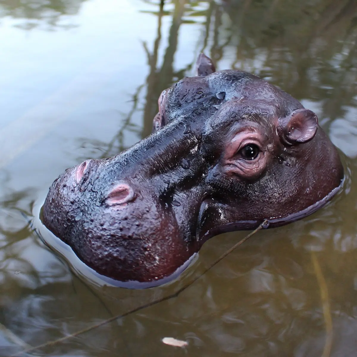 Realistic Hippo Decorative Statue, Animal Resin Ornament, Floating Decoration for Garden Outdoor Ponds and Swimming Pools, 1 Piece