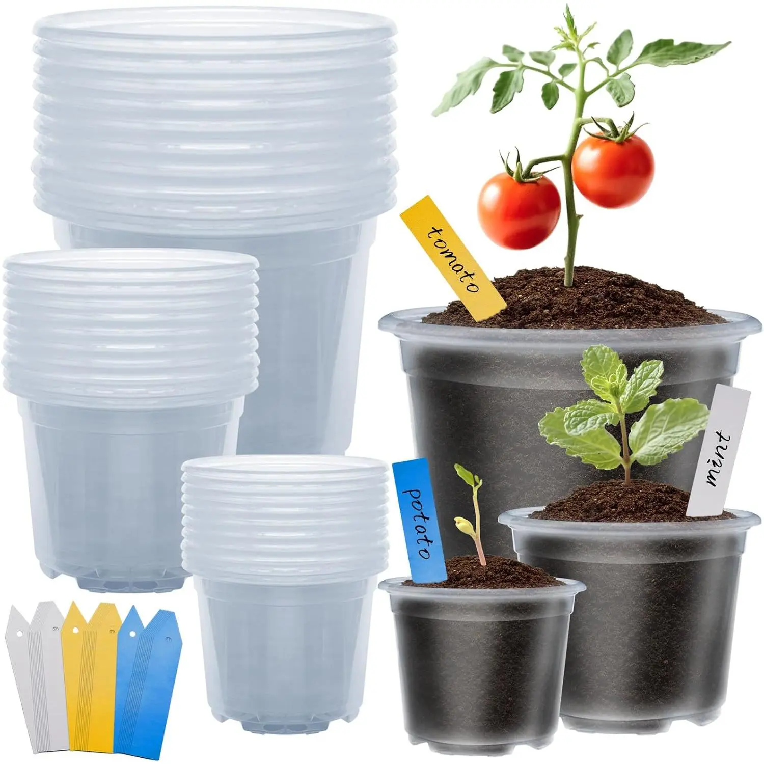 Pots for , 30 Packs Clear  Pots with Drainage, 3/4/5 Inch Plastic Planter Pots Including 30  Labels in Yellow White Blue (30)