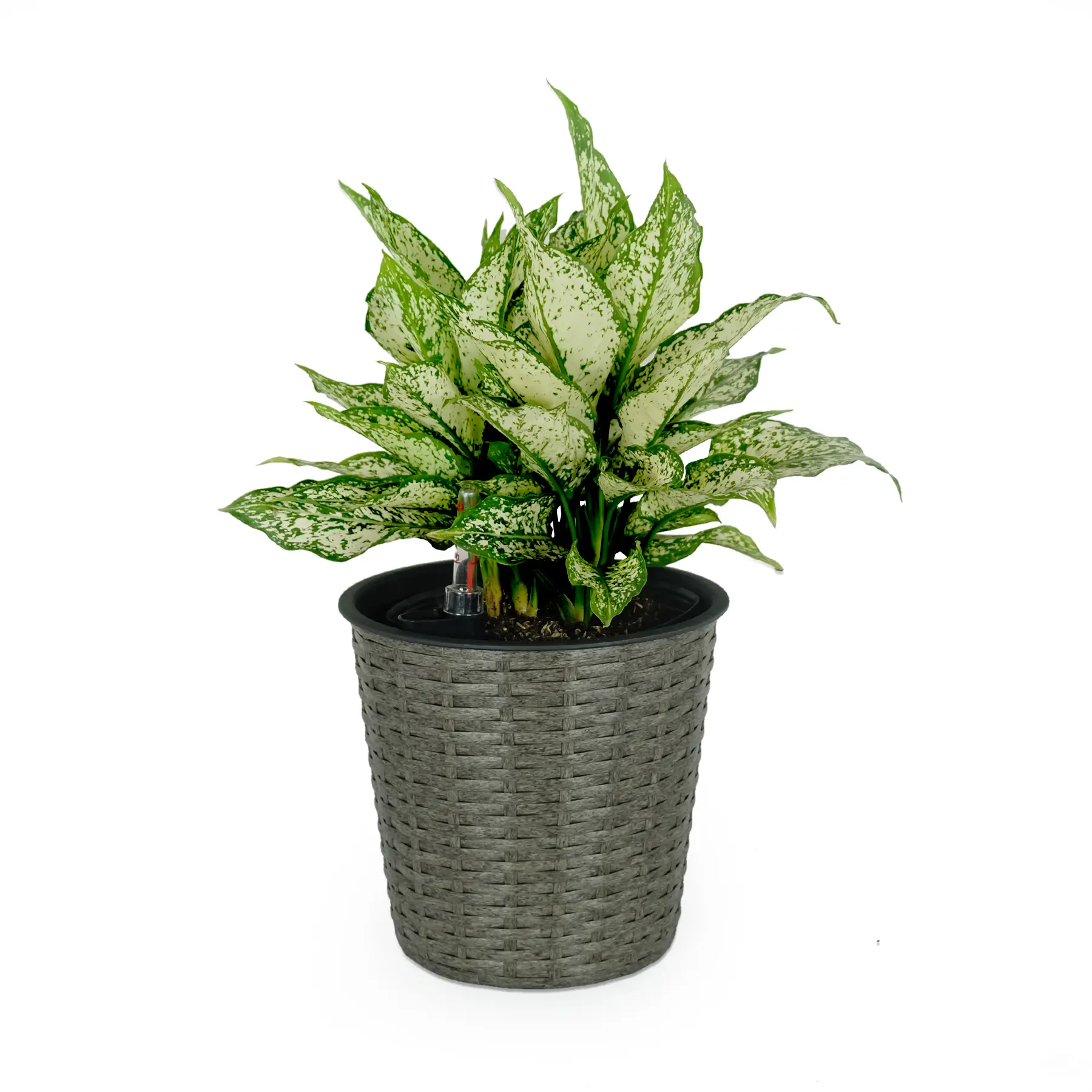 Nokaa 10.2" Self-Watering Wicker Planter Round Gray Indoor Outdoor Flower Pot with Built-In Watering System, Woven Rattan Finish, GRS Certified, for Patio Garden Balcony Shelf Tabletop