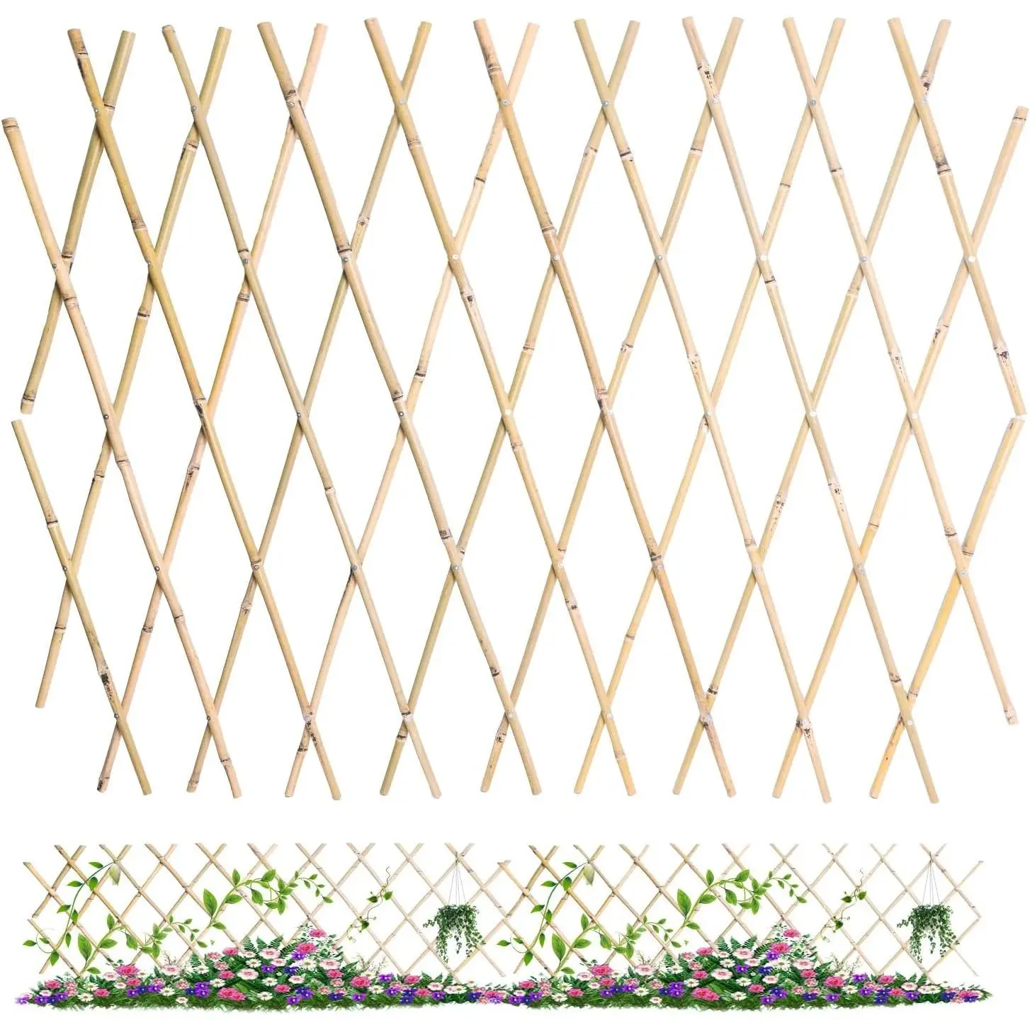 48x72 Inch Expandable Bamboo Trellis, Garden Lattice Fence, Expandable Fence for Climbing Plants, Vines & Ivy,Pet & Dog Barrier（Pack of 1）