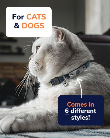 Naruto Akatsuki Cat Collars for Girl Cats, Boy Cats, Small Kitten Collar with Bell (Removable) | Officially Licensed Naruto Akatsuki Cloak Inspired Breakaway Cat Collars for Akatsuki Costume Itachi