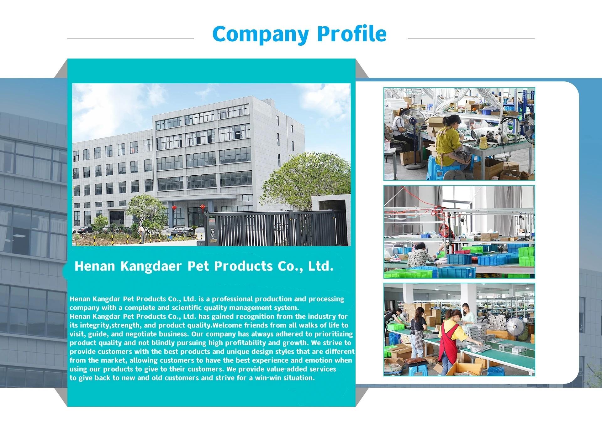 Bungee Dog Leash, No Tangle Leash, Heavy Duty Dog Leash with Shock Absorption, Comfortable Training Leash for Dogs#GLOBAL PICKS