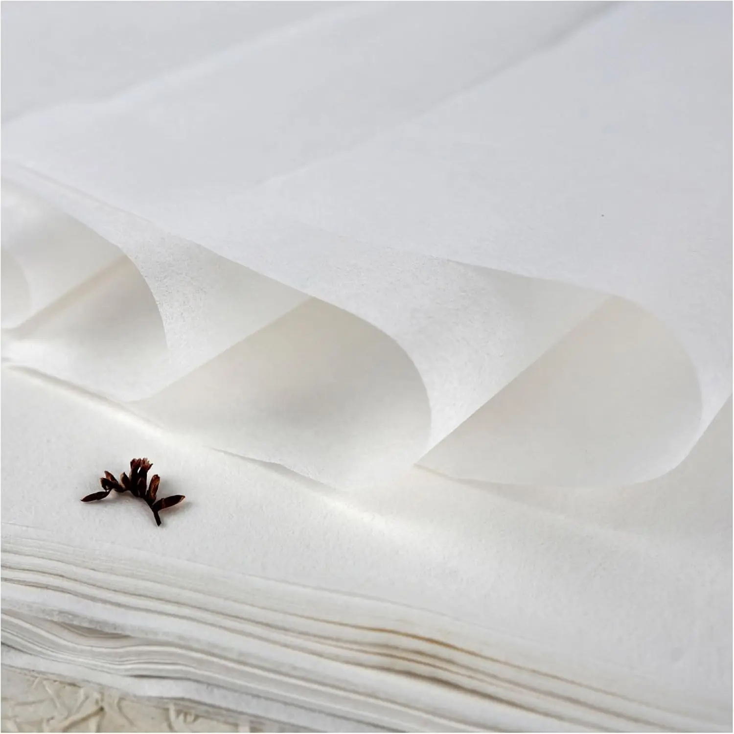 100 Sheets Luminous White Gampi Rice Paper, 9.4 x 15.7”, Handmade Translucent Cicada Wing Art Paper, Strong & Smooth Thin Fiber for Botanical Tracing, Calligraphy, Decoupage and Wedding Crafts