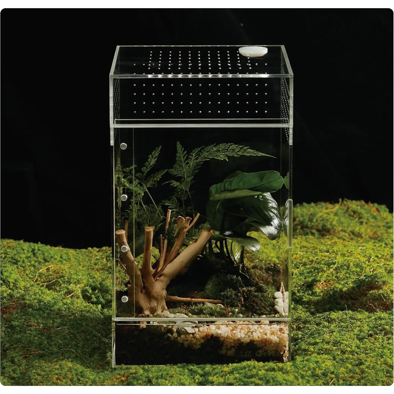 Acrylic Terrarium for Reptiles & Spiders Small/Medium/Large Leak-Proof Enclosure (Horizontal/Vertical) Ideal for Tarantulas, Jumping Spiders, Frogs & Geckos (Large, Vertical)