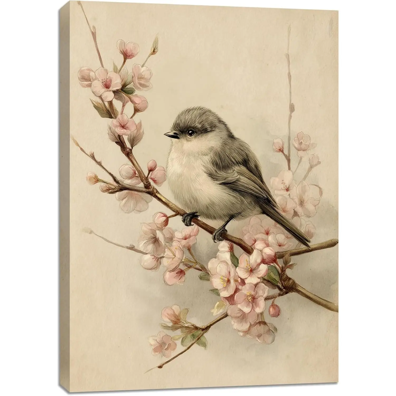 Vintage Bird Prints Wall Art Rustic Floral Canvas Artwork Aesthetic Floral Flower Bird Pictures Wall Decor Poster Framed Printing Artwork for Home Bedroom Living Room Bathroom 12x16inch