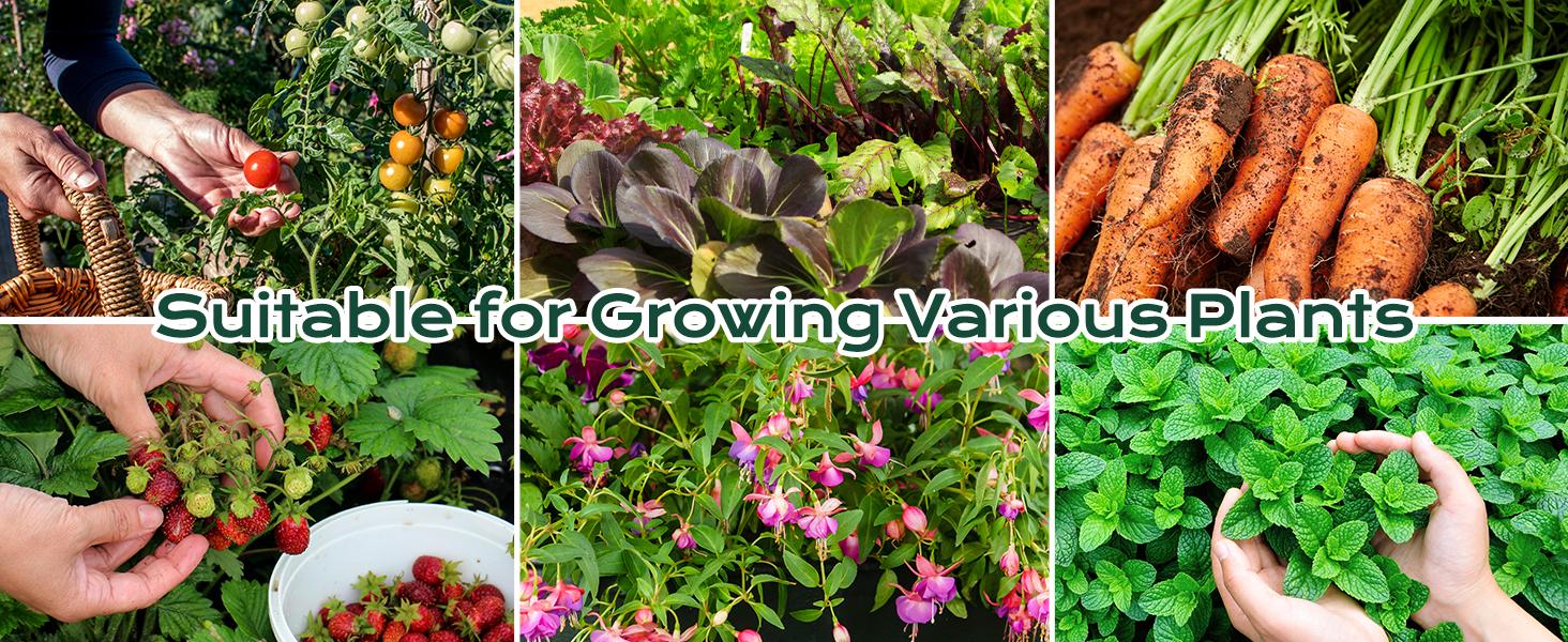 2PCS Galvanized Raised Bed Kit, 4 x 2 x 1 Ft, Oval Planter Boxes for Vegetables, Flowers, and Herbs, Use, Silver