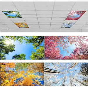 count of 4 Fluorescent Light Covers for Ceiling Lights, 4 x 2 ft, Magnetic Light Covers Classroom Light Filters Drop Fluorescent Light Shade Panel for Office Home School
