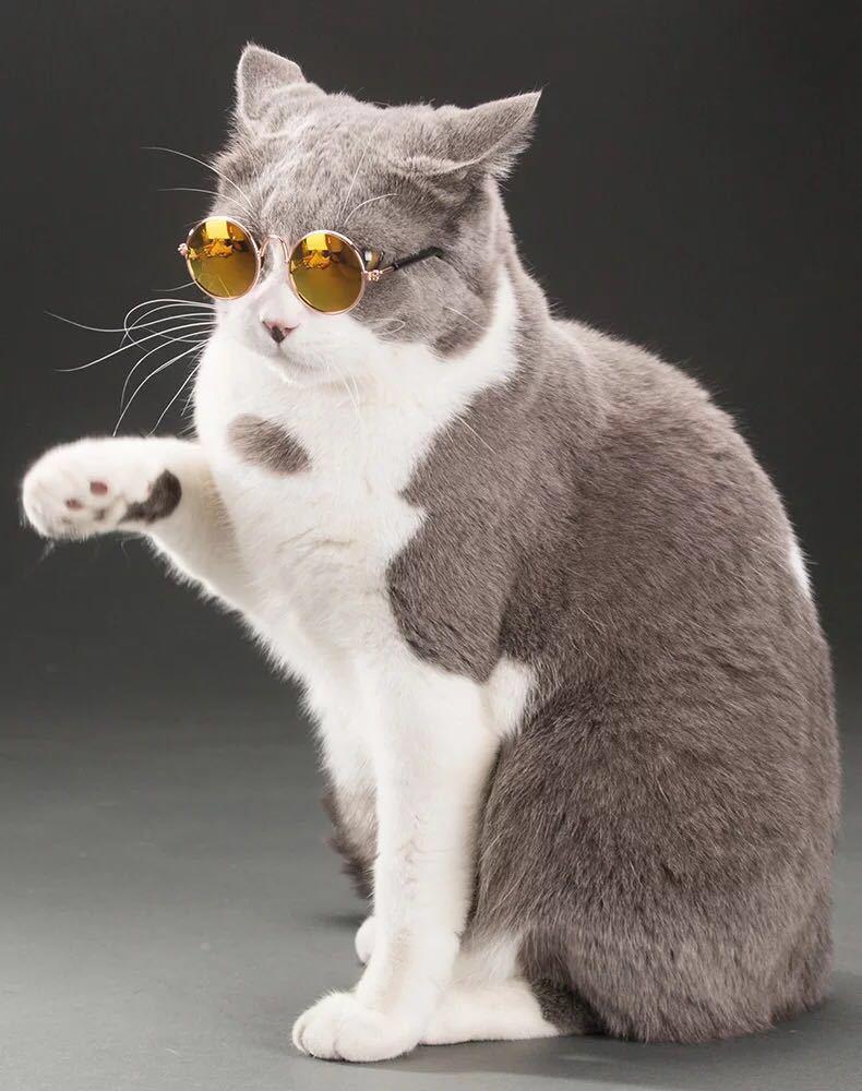 Dog Cat Pet Sunglasses Creative Trendy Sunwear Cute Accessories Mini Eyewear for Small Animals Adjustable Fit Summer Outdoor Play
