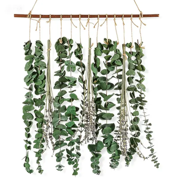 Fresh Eucalyptus Stems for Shower and Lavender Decor Wall Hanging Greenery Fragrance Wedding Decor Bedroom Living Room Kitchen Boho Home Bathroom Decor Real Eucalyptus Hanging Plants Natural Scented Greenery Zero Fade Artificial Look Reusable