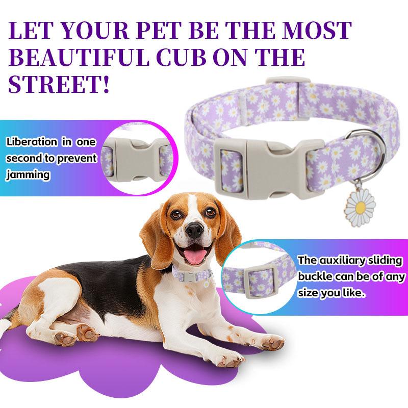 Cat & Dog Collar, Purple Daisy Print Adjustable Pet Collar with Quick Release Buckle, Soft Comfortable Durable No Smell Collar for Small Medium Dogs Cats, Cute Floral Pet Neck Accessory with Daisy Charm