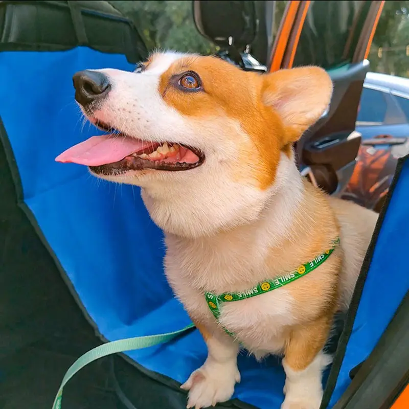 Pet Car Mat Waterproof Vehicle Pad, Rear Seat Car Mat for Pets, Wholesale Pet Supplies, Durable and Easy to Clean