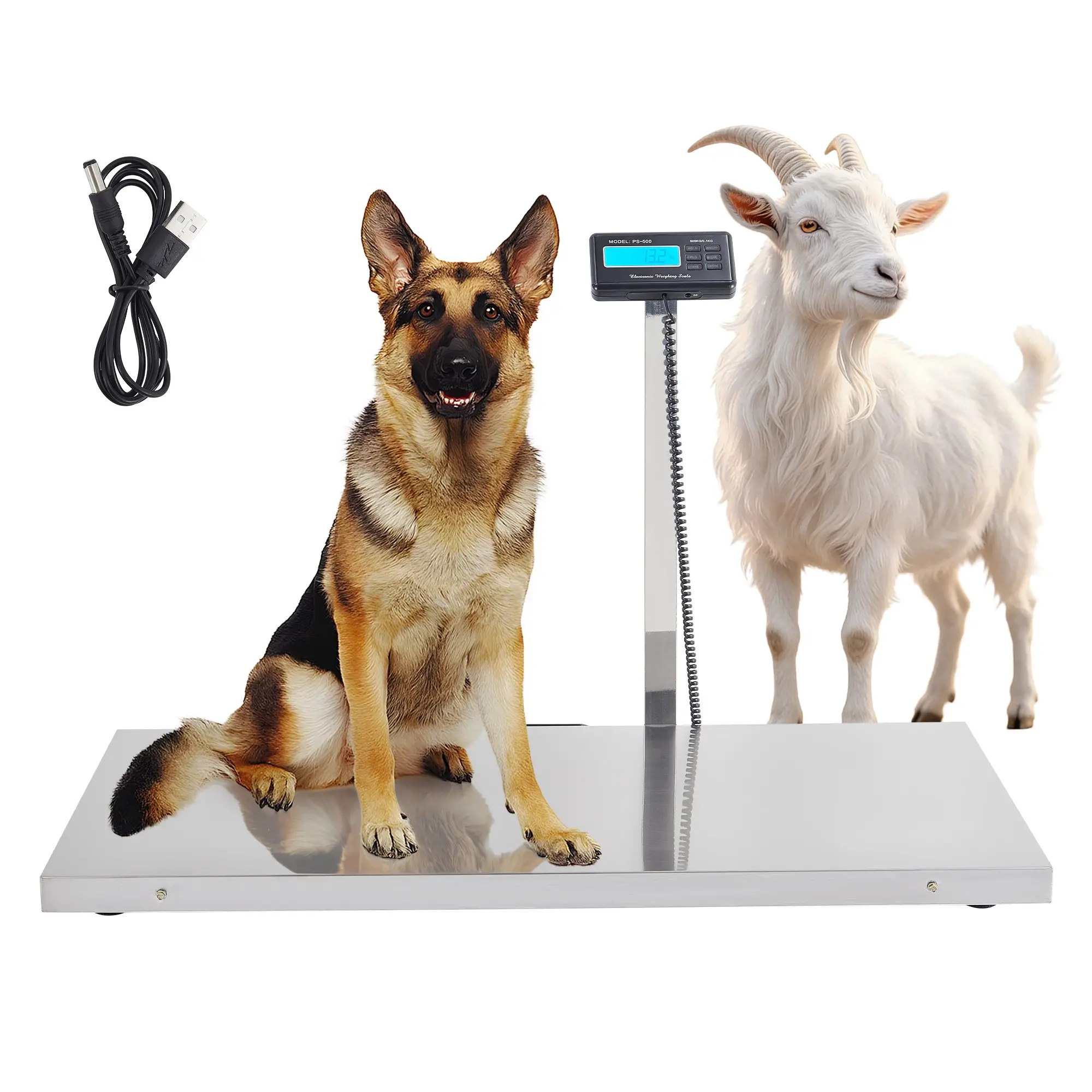 Large Breed Dog Scale - 1100 lb Capacity Stainless Steel Livestock Floor Scale with 0.2 lb Accuracy, Dual Power Type-C & Battery for Farm, Pet Hospital, Home, Dogs & Sheep