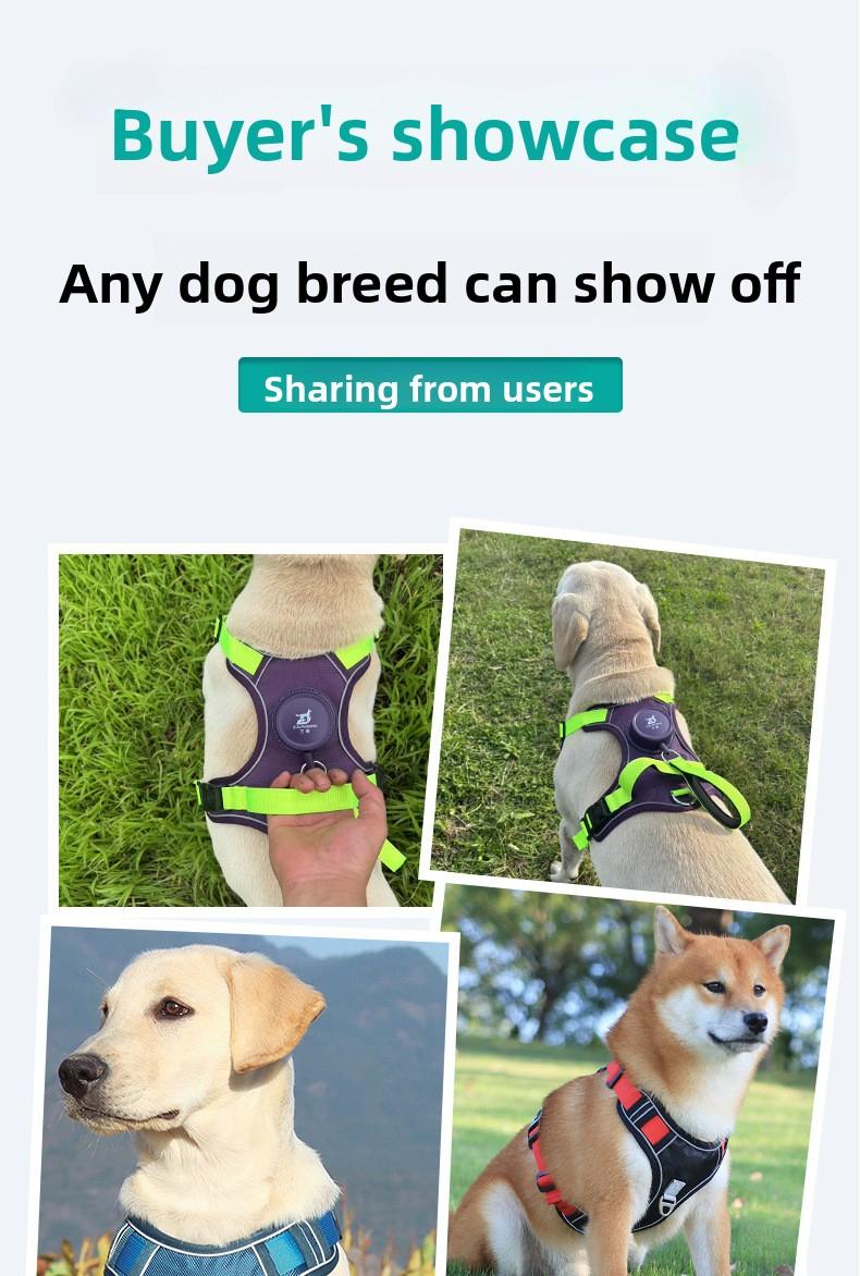 Ditch the Slip-Ups with Flimsy Harnesses! All-in-One Heavy-Duty Dog Harness |   Tear & Pull-Resistant, Ultra-Secure for Big Dogs