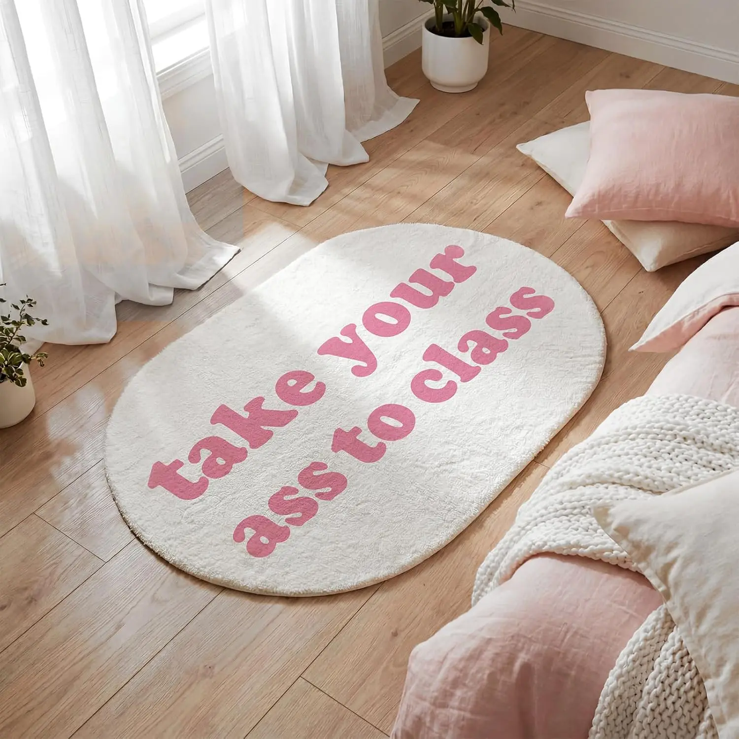 Take Your Ass to Class Dorm Rug Funny Bedroom Small Area Rugs 2 ft x 3ft Pink Non-Slip Furry Rug Bedside Carpet Cute Fuzzy Indoor Decor for College Dorm Apartment