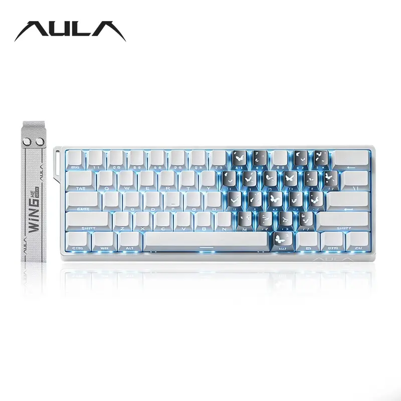 AULA Win60 HE wired game keyboard, Wired gaming keyboard, Pc gaming keyboards, Rgb backlight keyboard, 60% arrangement, 61-key mini layout, sensitive magnetic axis, high-performance chip, compatible with Windows/AMC system, suitable for e-sports office
