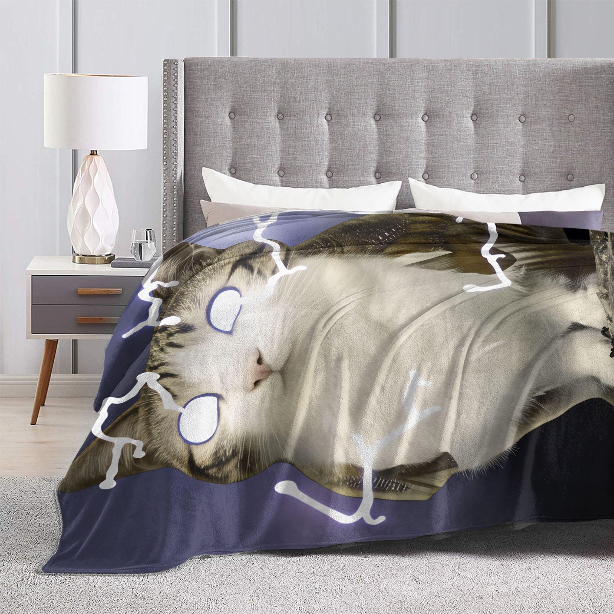 Meowl Cat Owl Electric Storm Flannel Blanket Pet Bedding Throw Comfortable Funny Couch Chair Travel Bedspread Bed Cover Soft Warm Flannel All Season Multi Size Weird Animal Gift Idea