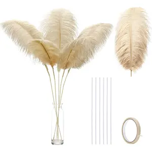 Ballinger Large Champagne Ostrich Feathers - 12pcs 24-26inch Feathers Making Kit Boho Feathers for Vase,Wedding Party Centerpieces and Home Decor