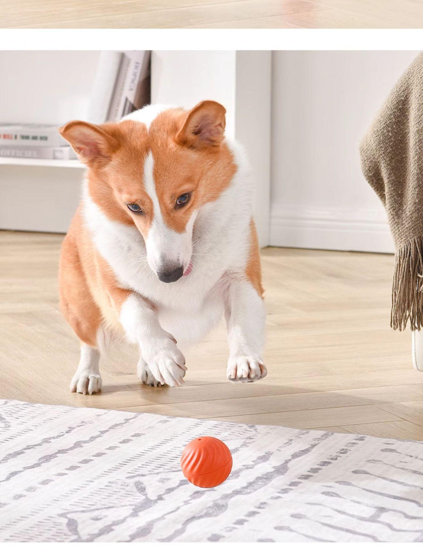 Gravity Jumping Ball Smart Rechargeable Pet Toy Automatic Rolling Interactive Chase Ball for Dogs Cats Livestock Prod with Flexible Shaft pet stuff dog pepper spray dog bugs detector reverse slow feeder shaped harness raised food bowl surprise gift k9