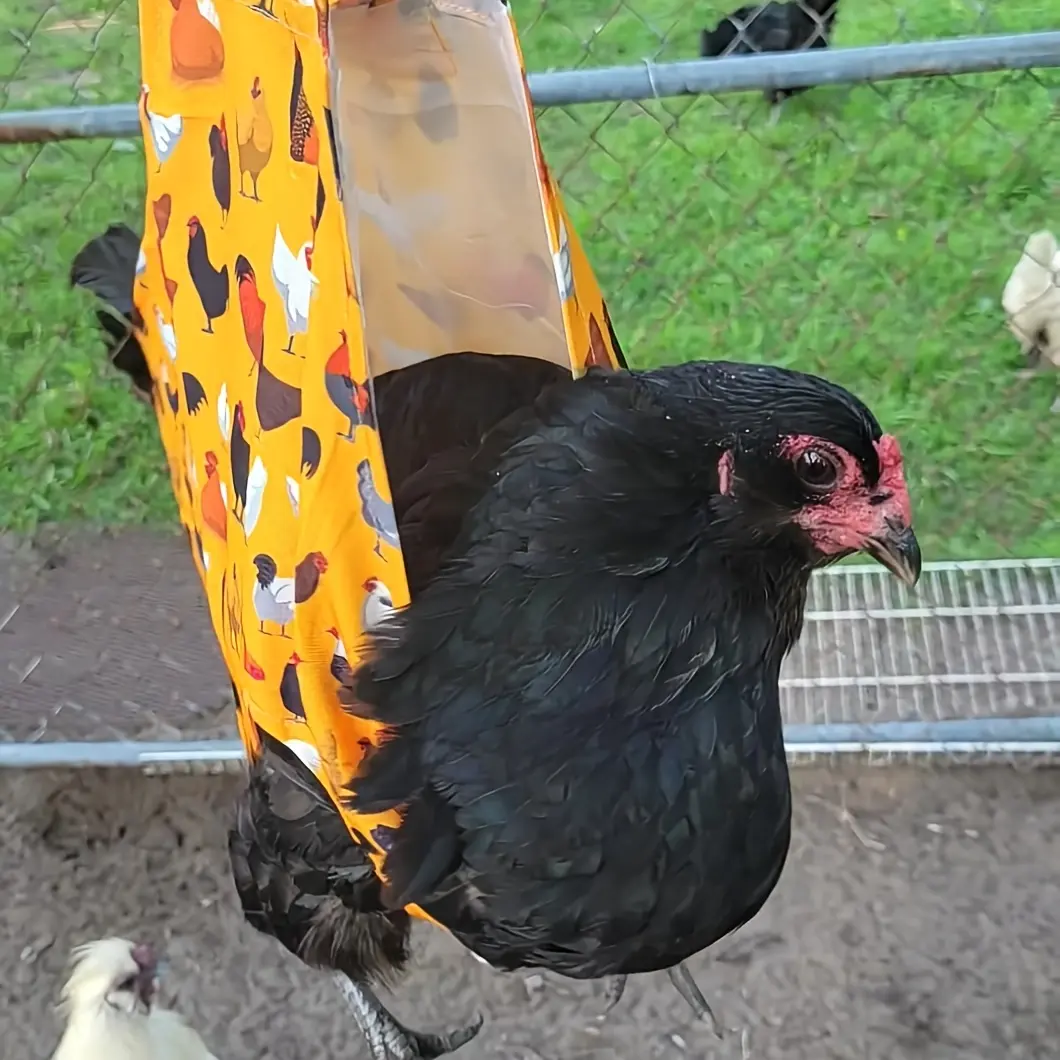 Portable Poultry Restraint Bag, Comfortable Crossbody Chicken Carrier, Breathable and Easy-to-Clean Poultry Transport Bag, Carrying Bag Specially Designed for Transporting Hens, Roosters, and All Types of Poultry