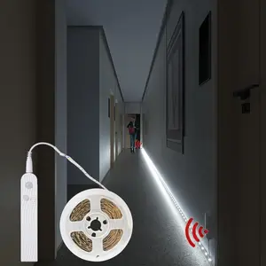 LED Sensor Light Strip without Battery, 1 Roll Battery Required LED Light Strips, Multipurpose SMD Flexible LED Night Light For Home Decor, DIY Decoration, Lighting, Multiple Lengths Available, Led Ambient Light, Ambient Led Lights