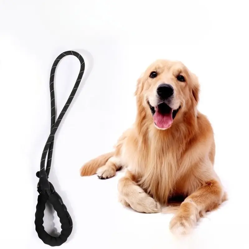 Dog Slip Lead P Chain Traction Rope, No-Choke Training Walking Leash for Small Medium Large Dogs, Fit Golden Retriever, Labrador, Corgi, Teddy