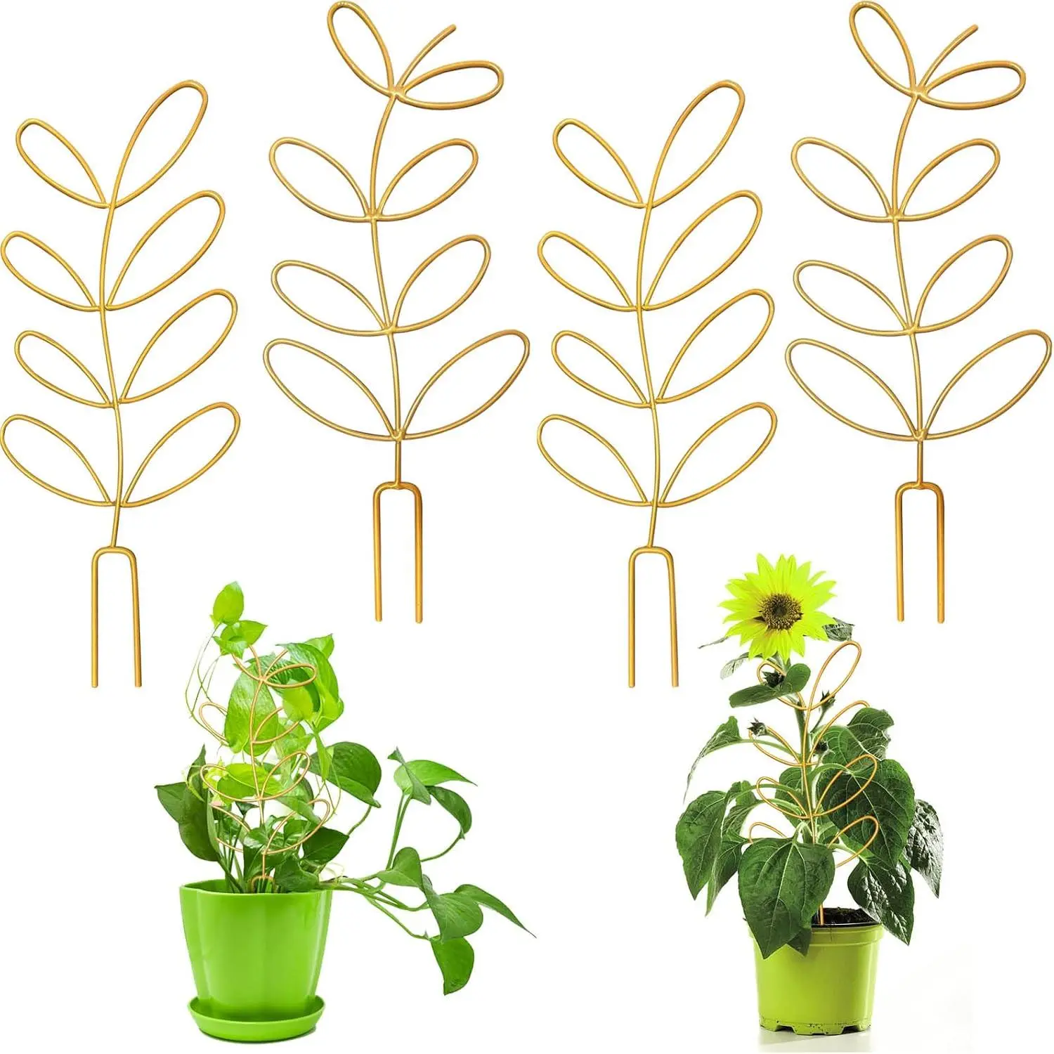 4 count Small Metal Trellis for Potted , Indoor  Trellis for Climbing, Mini  Trellis Support Stake House  Trellis for Garden Potted, Hoya, Pothos, Flower, Monstera ()
