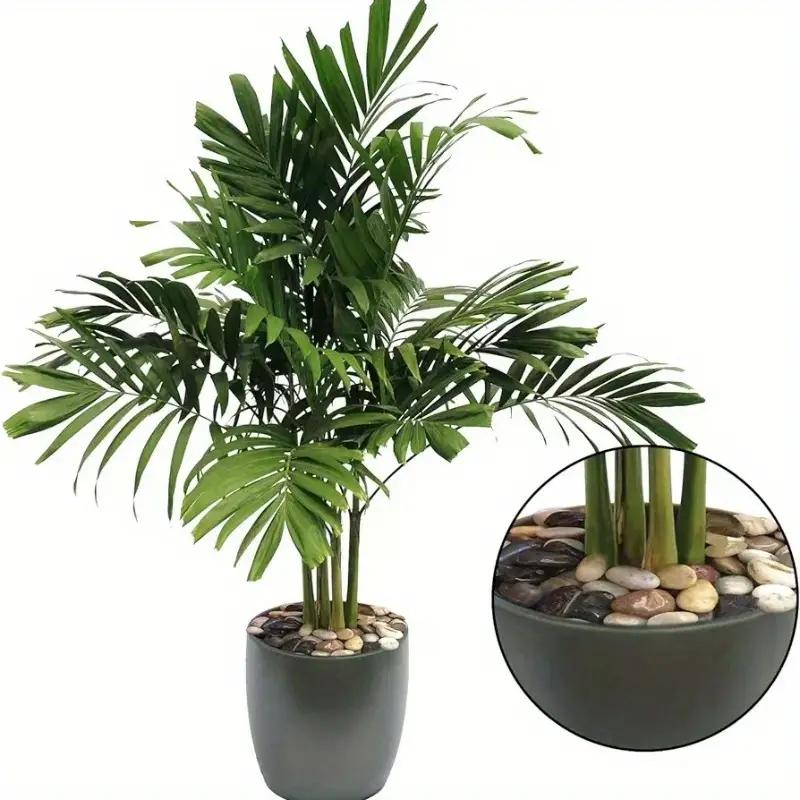 Multi-application Mixed Color Decorative Stone (1 Pack), 14.1oz/400g Stone for Garden Decor, Fish Tank, Flower Pot & Succulent Plant