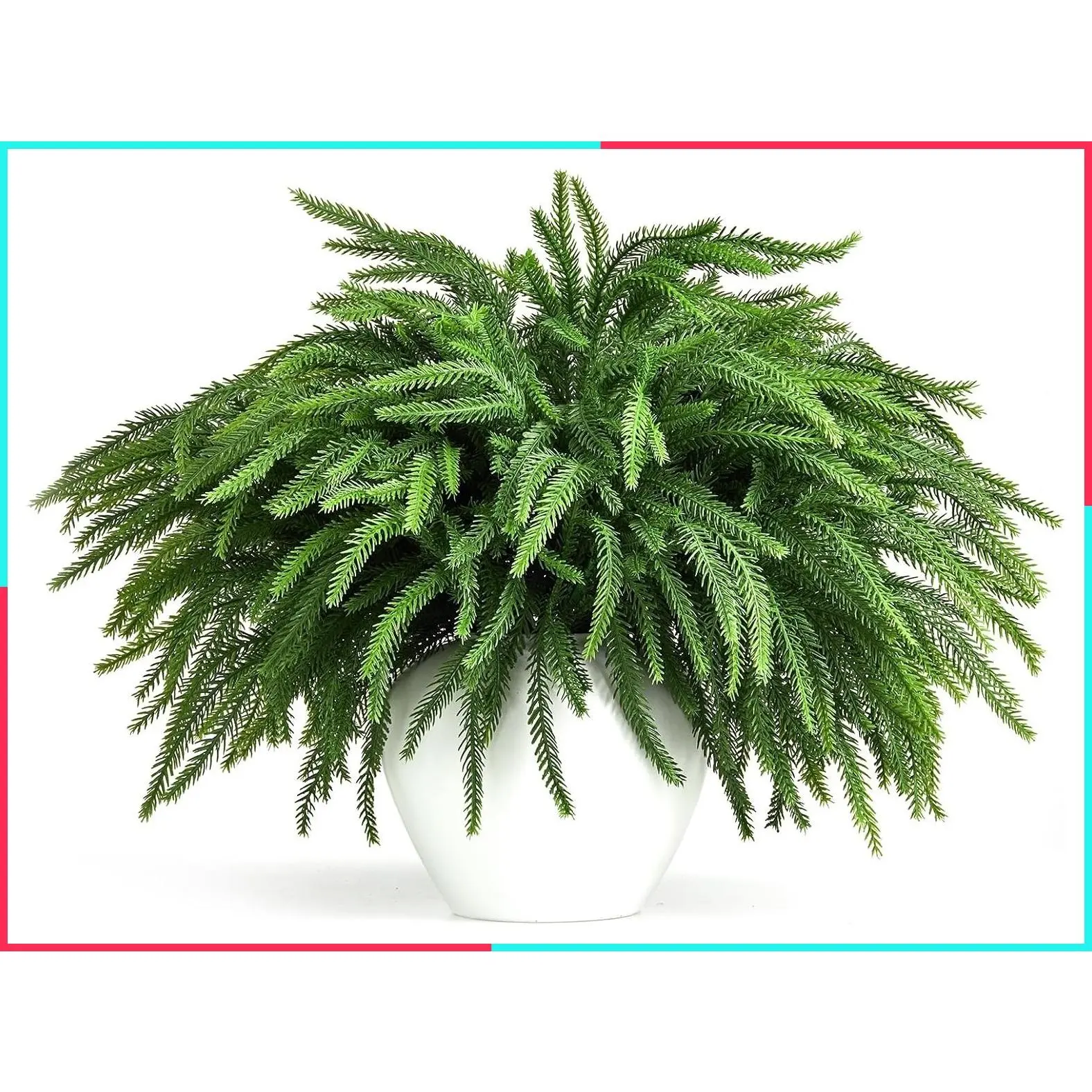 16 Pcs 19" Real Touch Norfolk Pine Christmas Stems & Branches