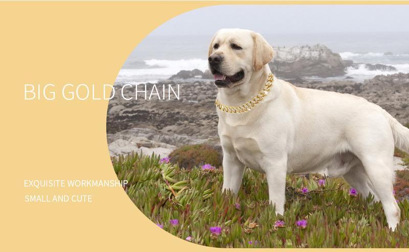 Bling Rhinestone Cuban Link Dog Collar Sparkly Diamond Metal Pet Collar for Small Medium Large Dogs Cats All Sizes Gold Chain Collars with Rhinestone Elegant Durable Design