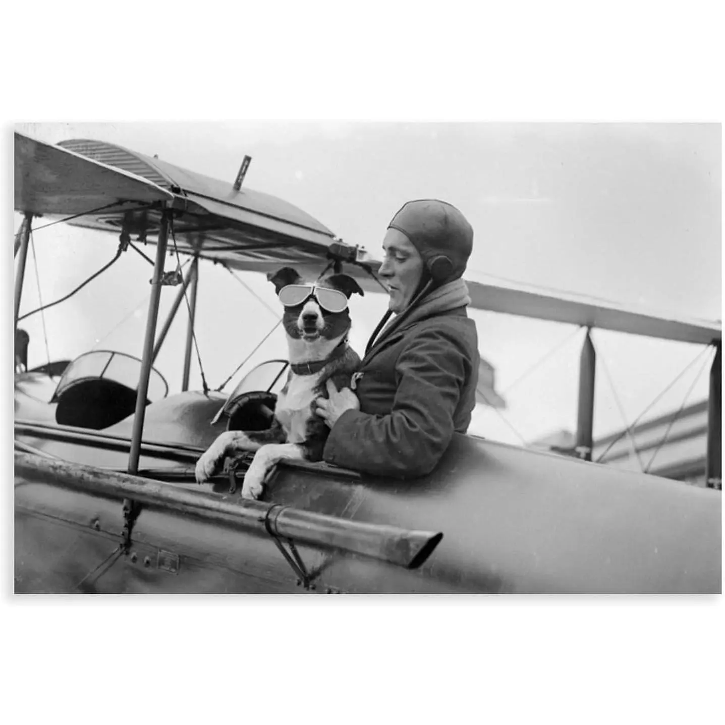 Dog Pilot Airplane Vintage Photo Plane Aviator Antique Aviation 1920s Poster Prints Paintings Canvas Wall Art for Bedroom Bathroom Living Room Office