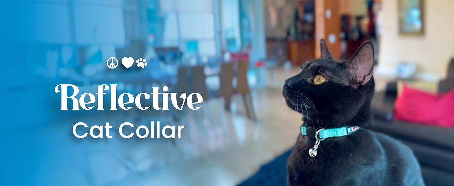 Pawtitas Reflective Cat Collar with Safety Buckle and Removable Bell Cat Collar Kitten Collar Purple Orchid Cat Collar