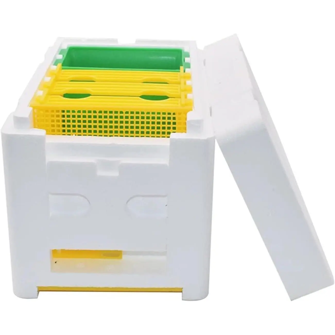 Mini Mating Nuc Apidea Box, Queen Bee Rearing Beehive Kit, Compact Bee Breeding Hive, Lightweight Beekeeping Equipment for Queen Rearing and Mating, Backyard Beekeeper Supplies