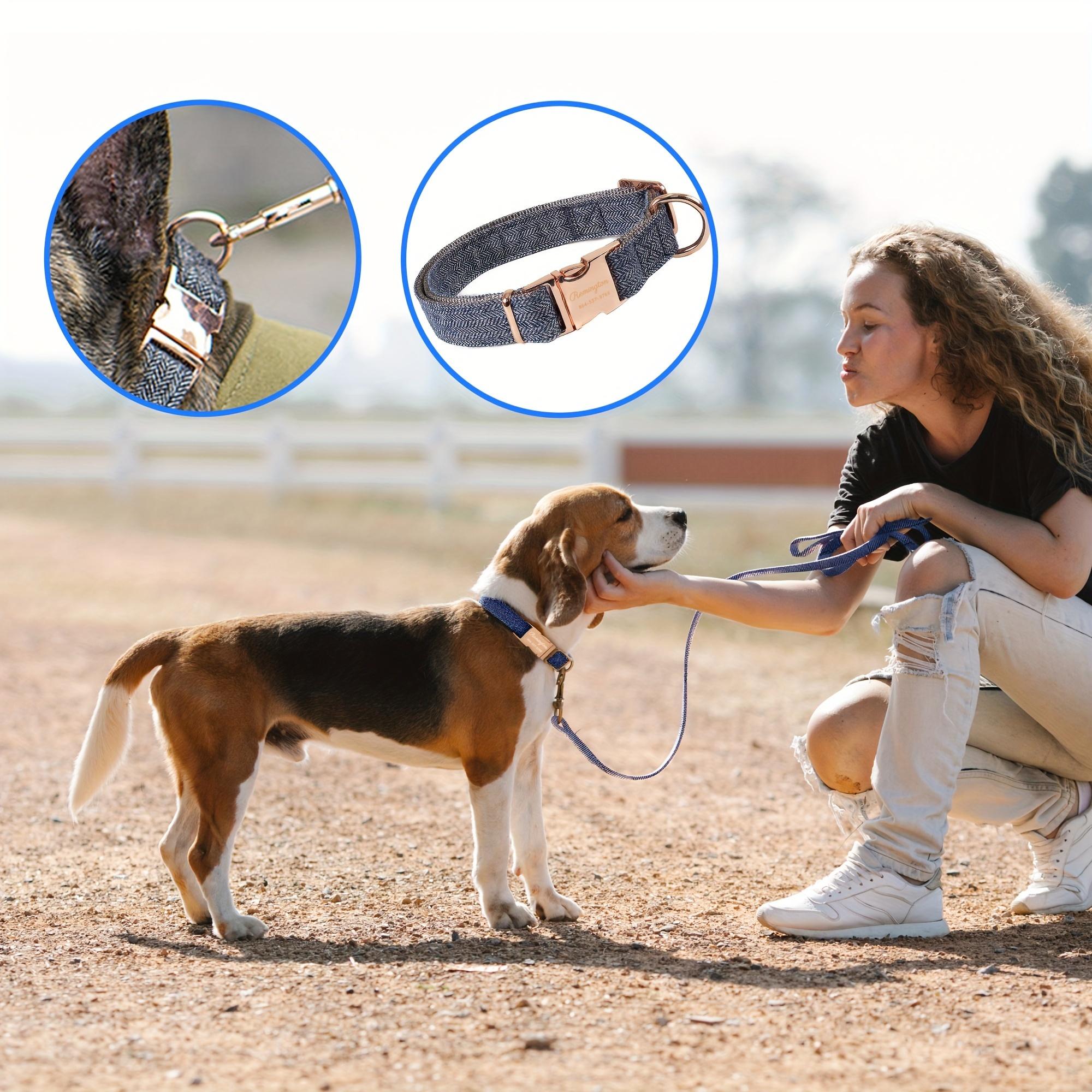 Custom Engraved Pet Collar For Dogs & Cats - Personalized Nylon Accessory, Ideal For Walking Or Decorating Pets, Perfect Small To Medium Breed Gift, Available In 4 Colors