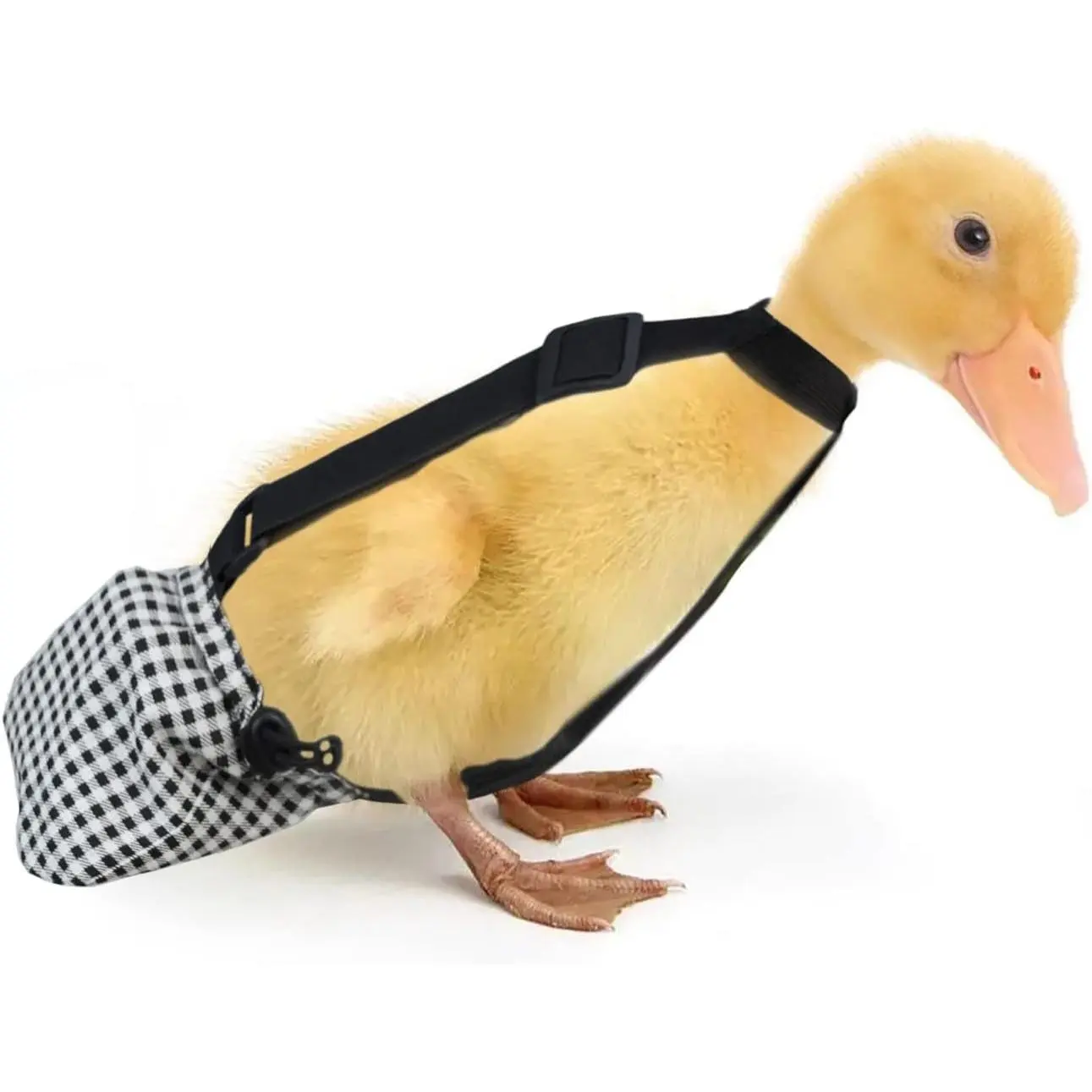 Diapers with Elastic Rope for Baby Pet Duck, Suitable for 1 to 2 lbs Ducks Aged 3 Weeks to 4 Weeks