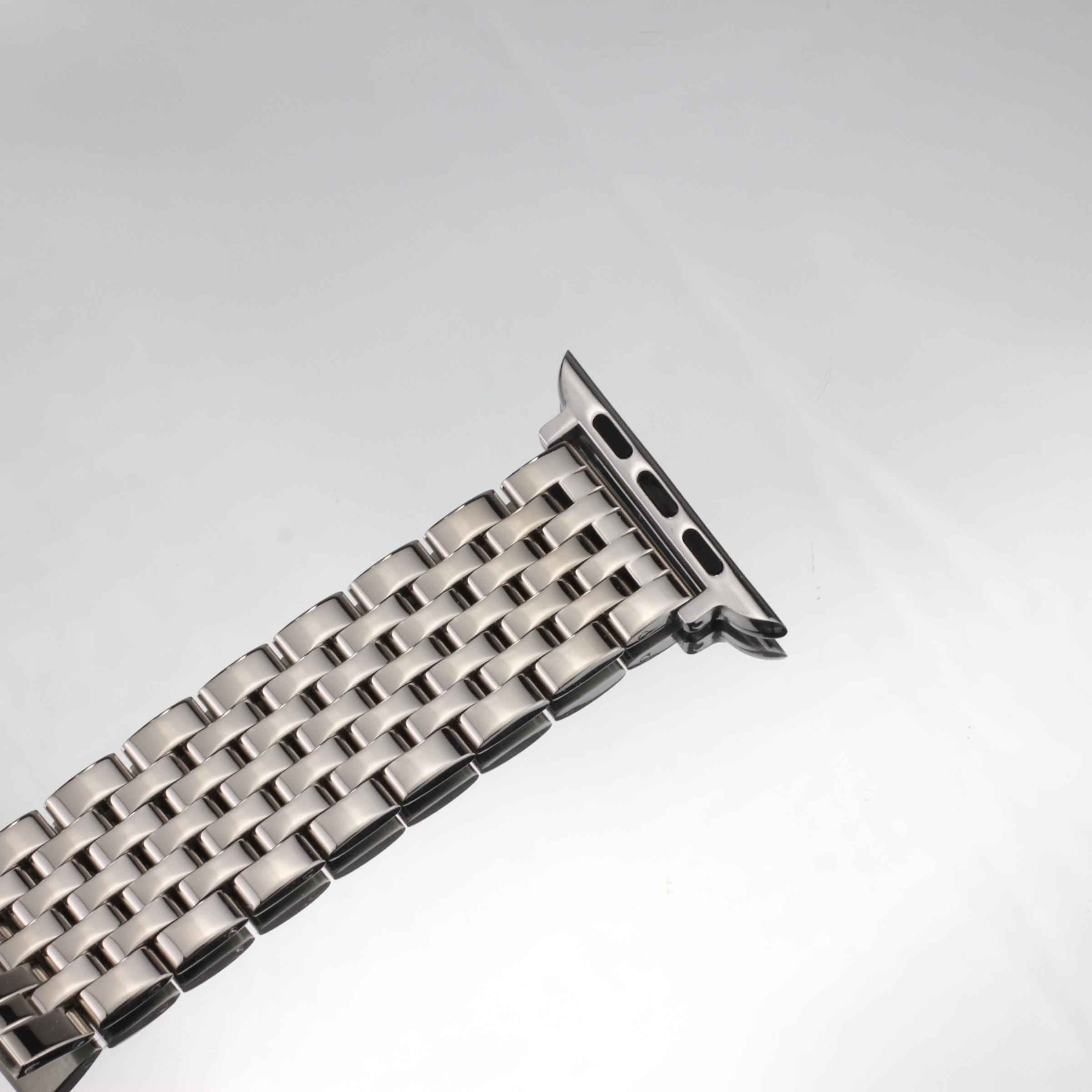 Stainless Steel Watch Band with TPU Soft Protective Case, Fashionable Watch Band for Apple Watch Series, Smart Watch Accessories for Men and Women, Smart Watch Strap, Smartwatch Strap