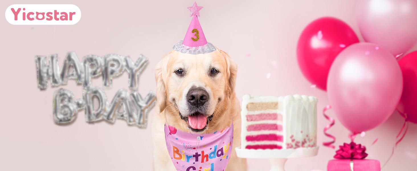 Dog Birthday Decorations, Dog Birthday Hat with Numbers for Large Medium Small,Pet Supplies (Pink)