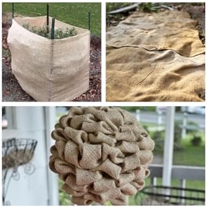 Burlap 45" x75' |   Versatile Burlap Roll for Plant Cover |   Burlap Placemats, Tree Wrap, Sackcloth Projects |   Burlap and Jute | Burlap Runner