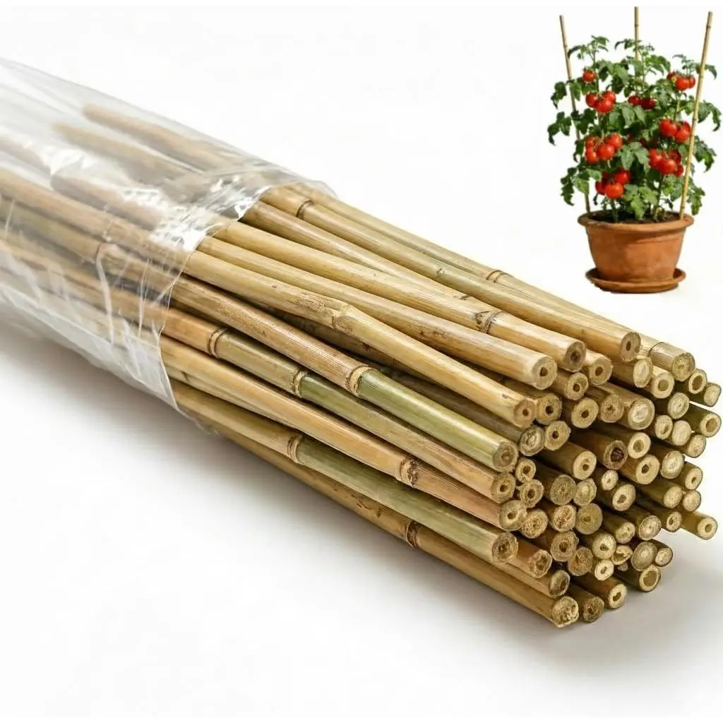 65 Pcs Bamboo Plant Stakes 4 Feet, Natural Bamboo Sticks Garden Stakes for Climbing Plants Support, Bamboo Poles,Potted Plants, Tomatoes, Beans, Flowers, Trees